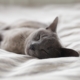 better sleep tips