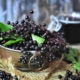 elderberry to boost immunity