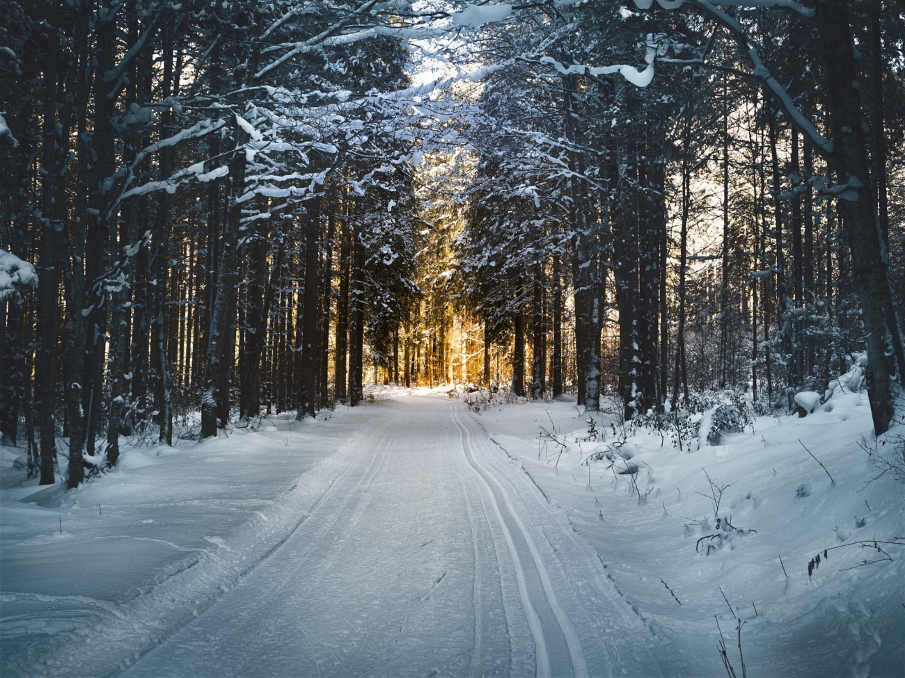 winter maine trails