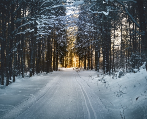 winter maine trails