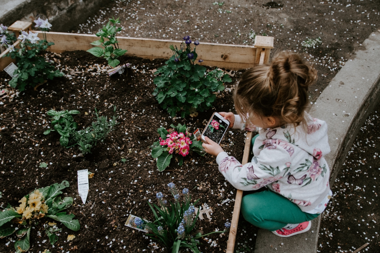 spring gardening tips