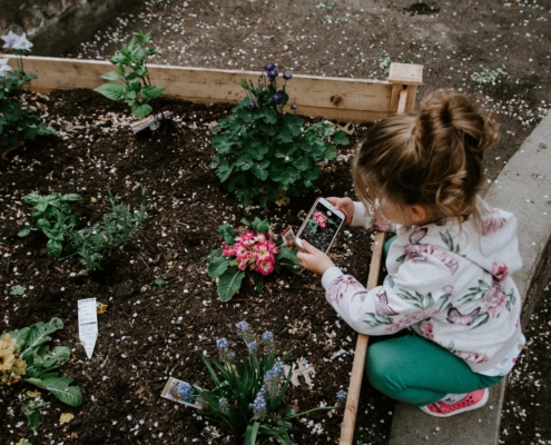 spring gardening tips