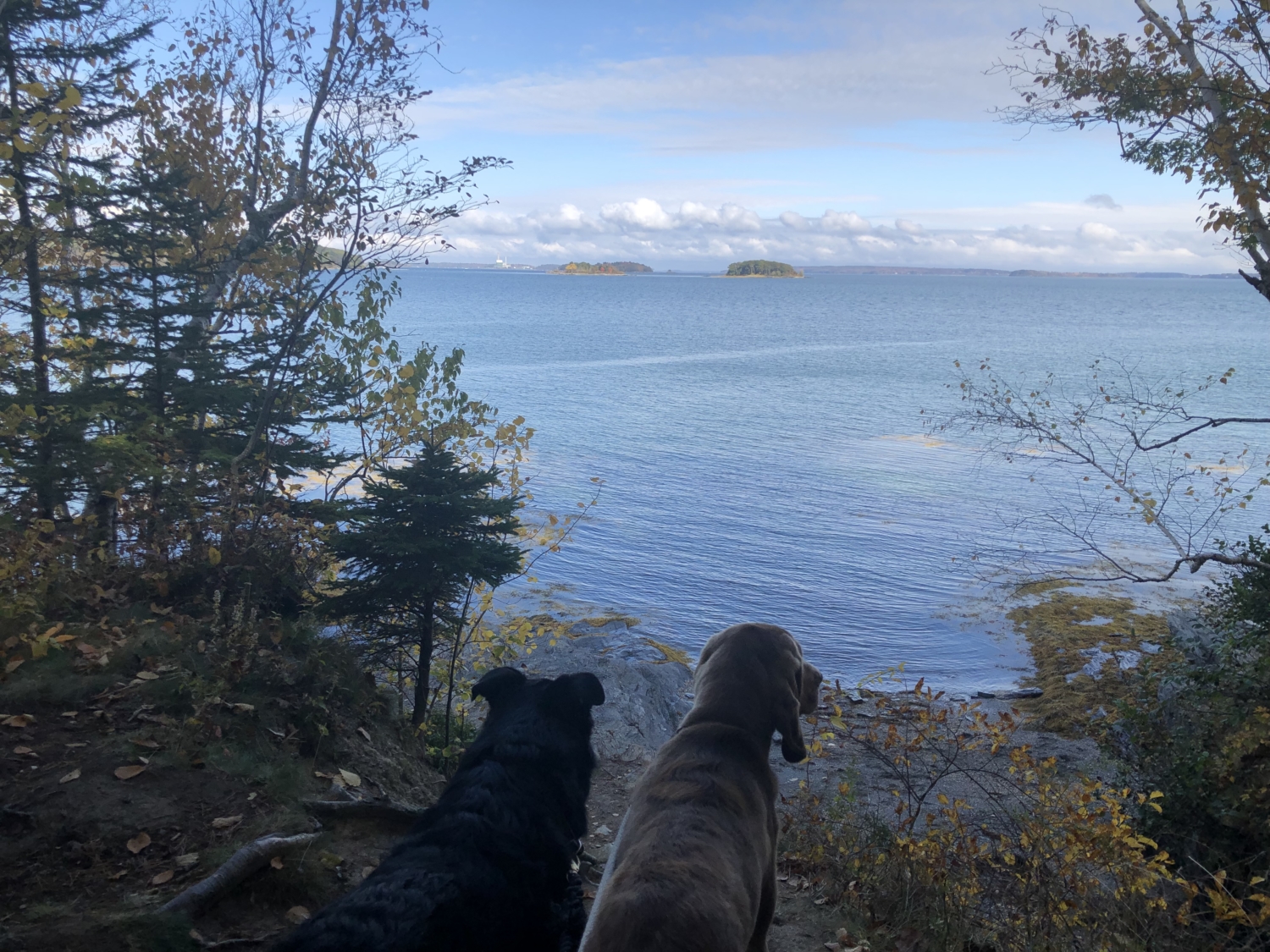 Mackworth Island State Park Reasons to Visit Cumberland Crossing