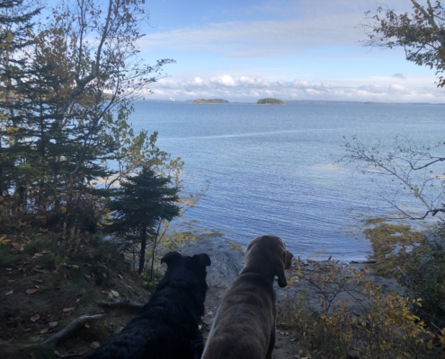 mackworth island state park