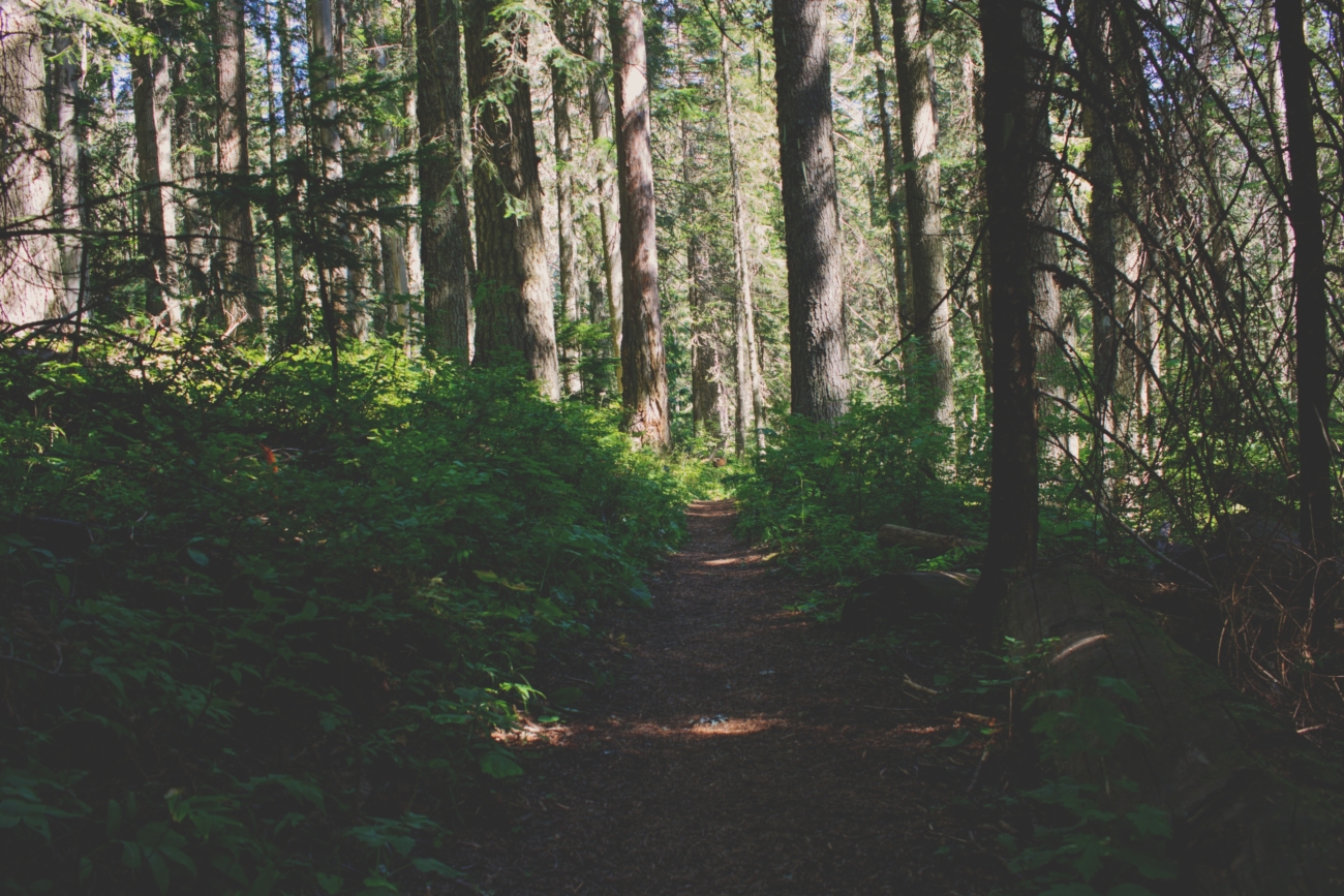 hiking around portland maine