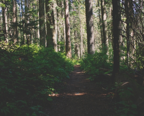 hiking around portland maine