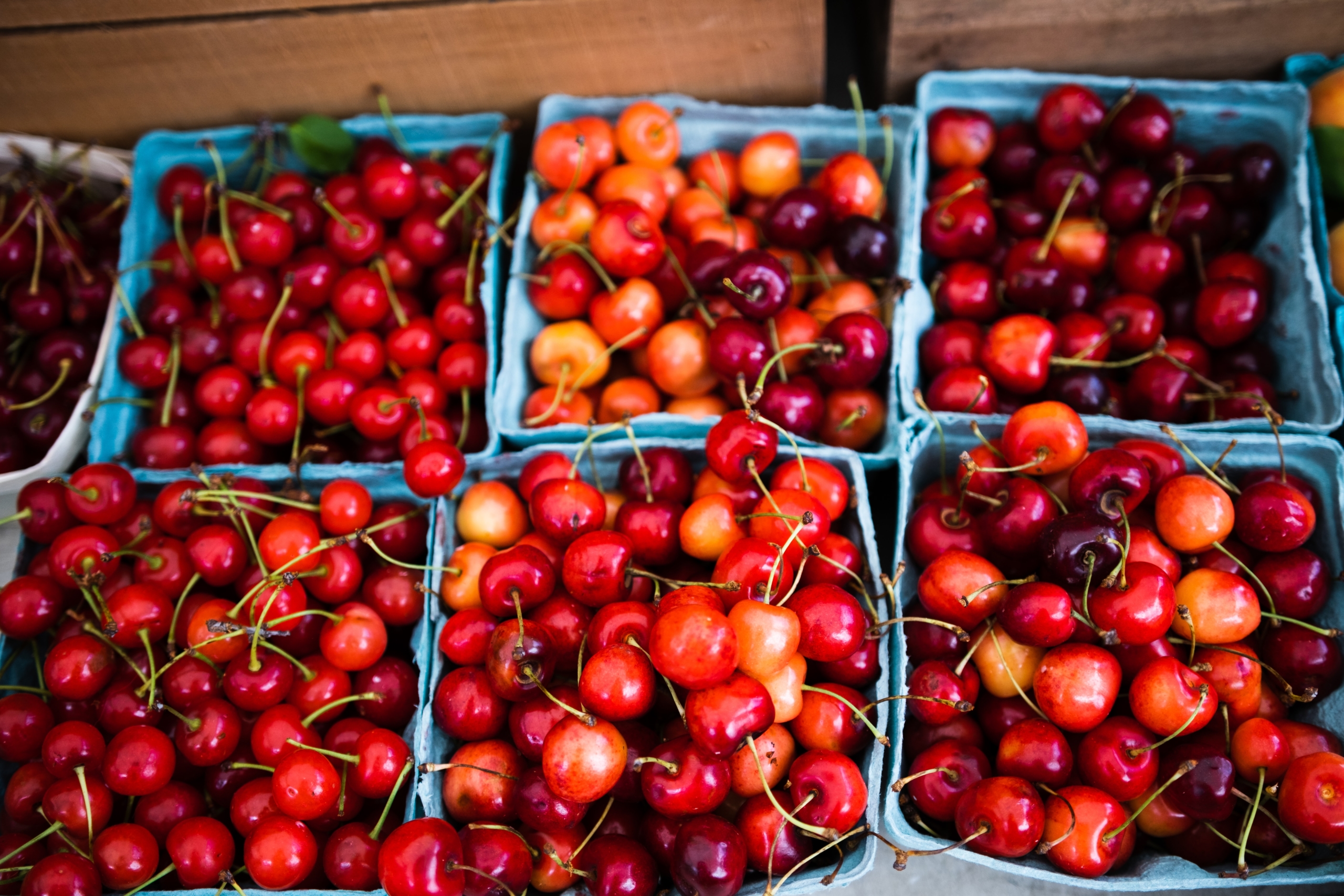 summer activities for seniors
