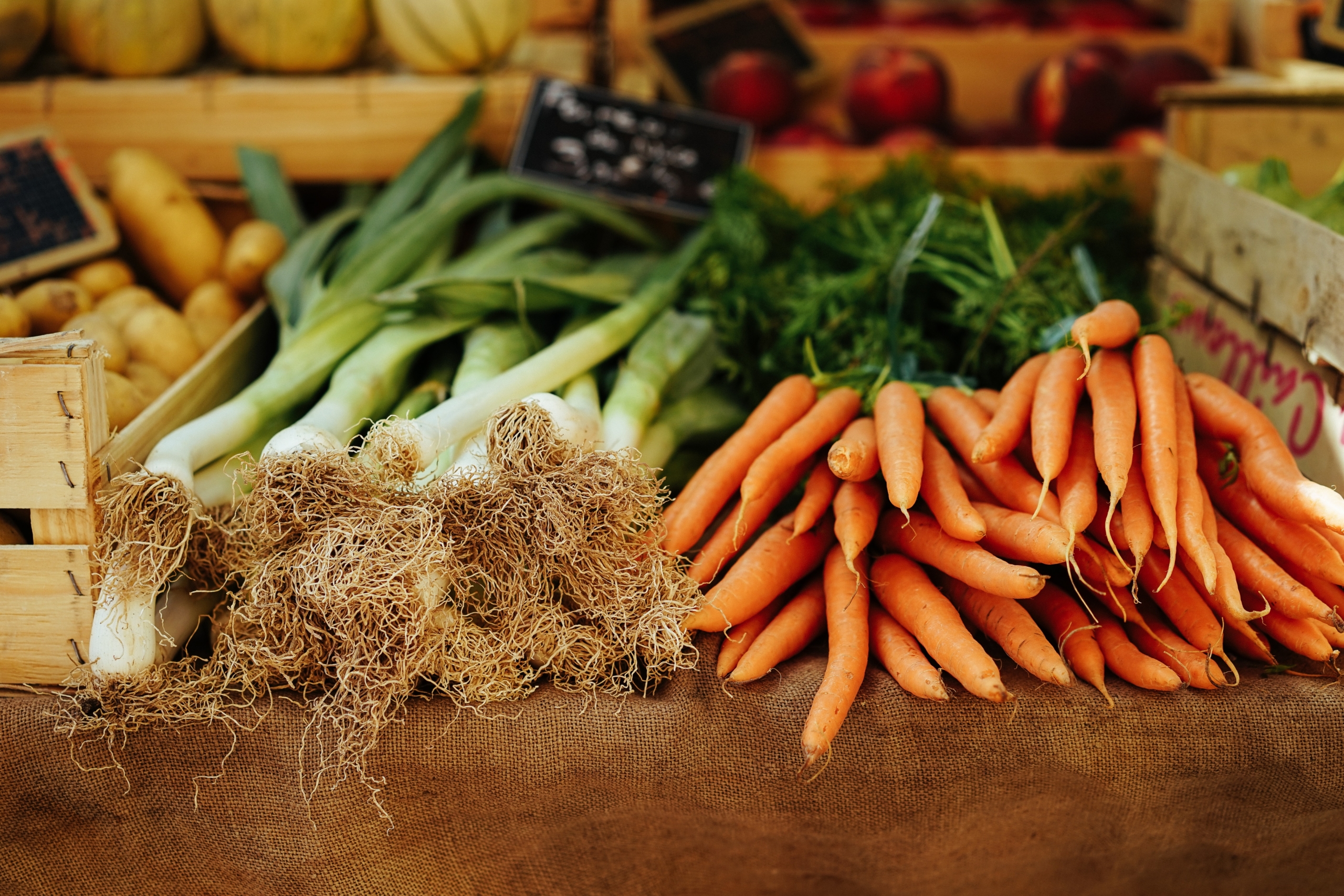 what vegetables are in season in maine