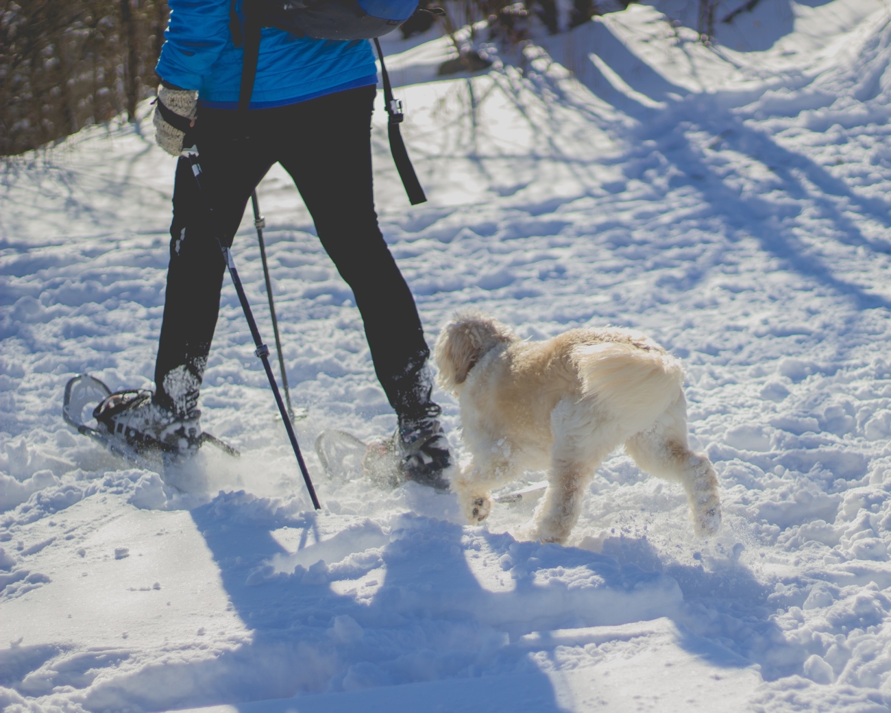 winter outdoor activities in maine