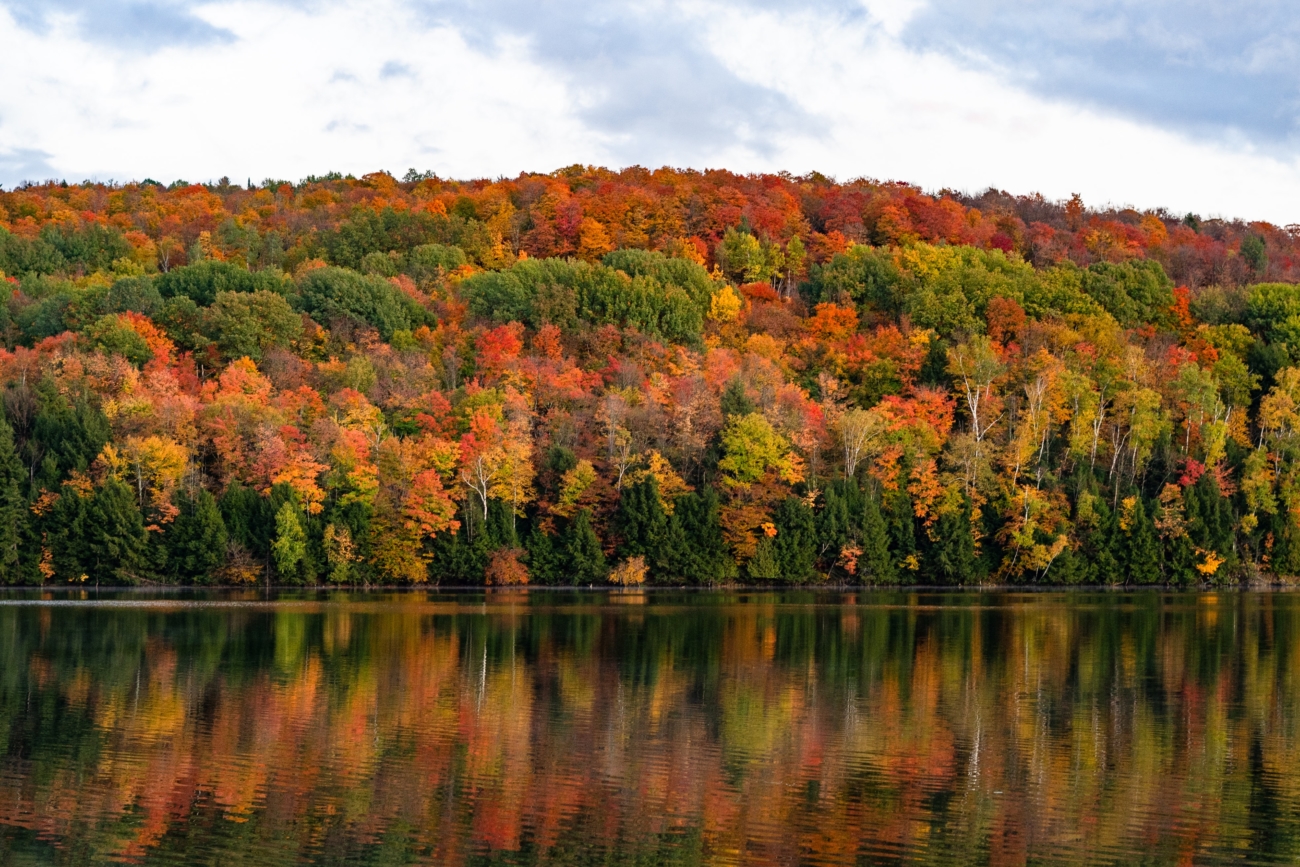 best foliage portland maine