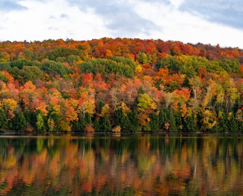 best foliage portland maine