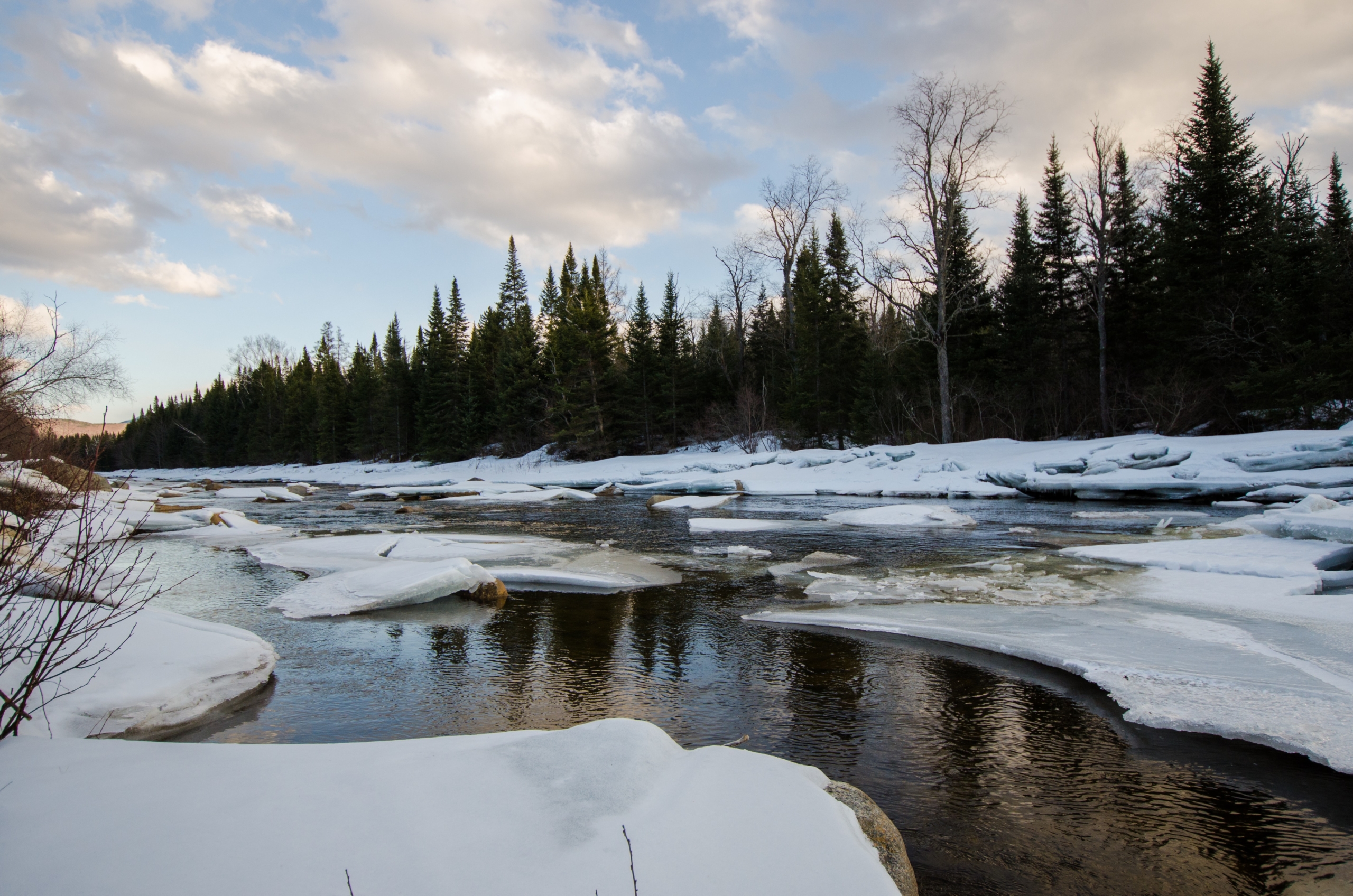 winter activities for seniors