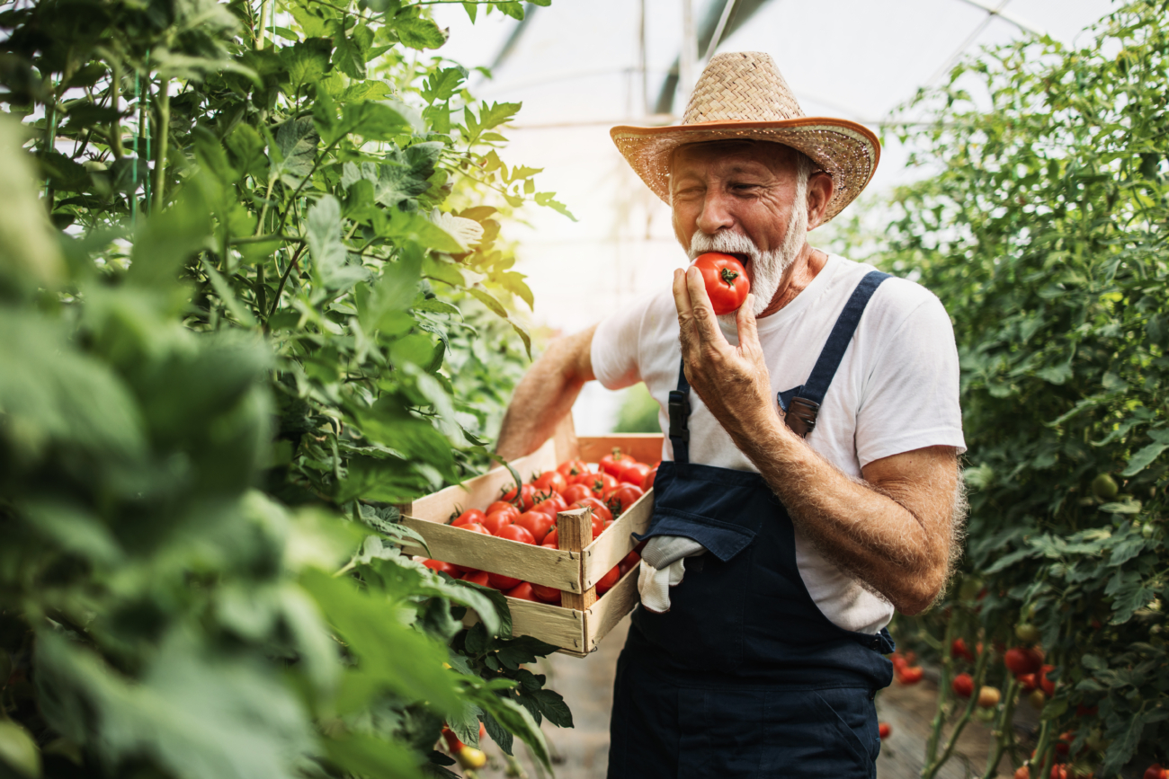 senior brain health