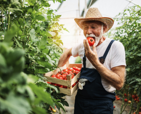 senior brain health