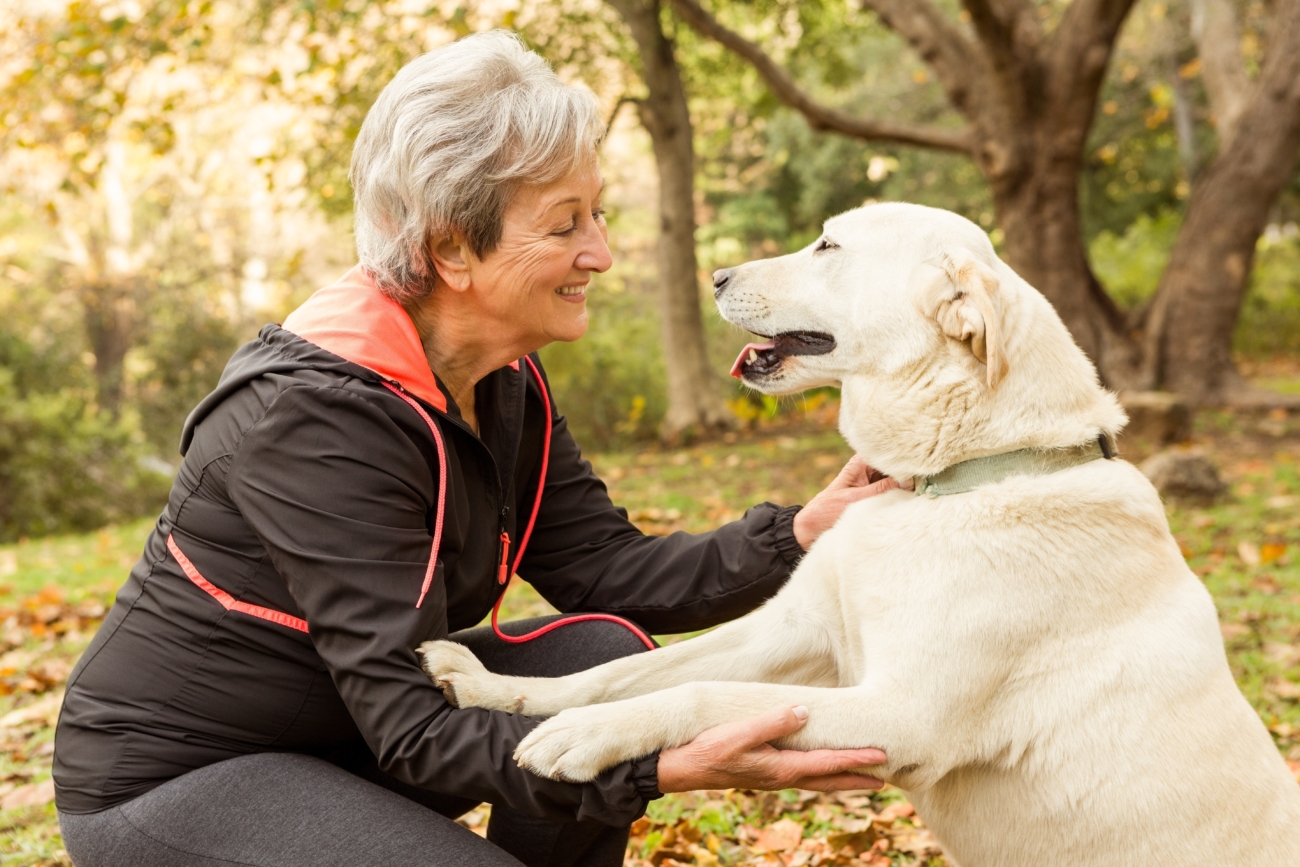 best pets for older adults