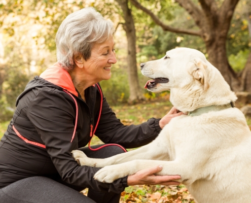 best pets for older adults