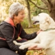 best pets for older adults