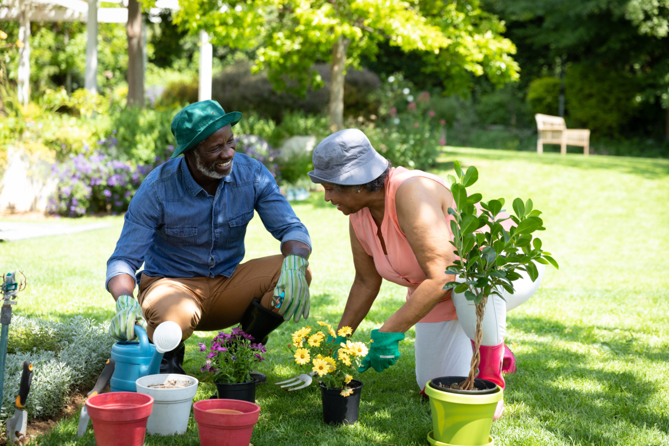 gardening tips for Maine