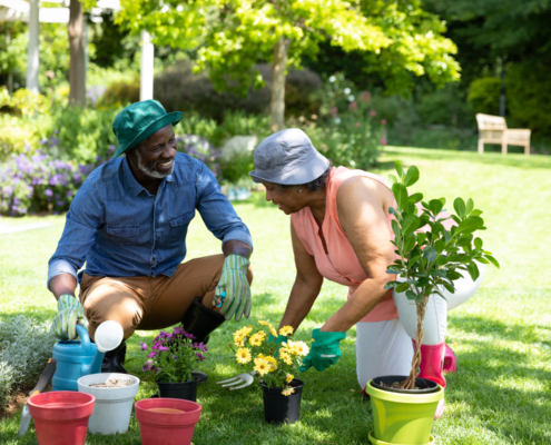 gardening tips for Maine