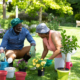 gardening tips for Maine