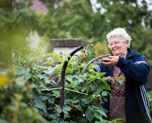 practical gardening tips for seniors