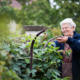 practical gardening tips for seniors