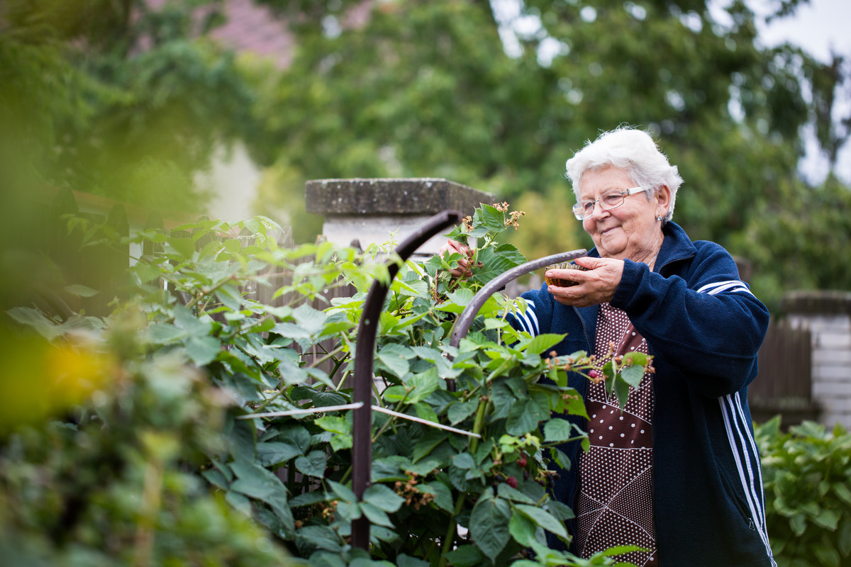 practical gardening tips for seniors