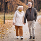 nature therapy for seniors